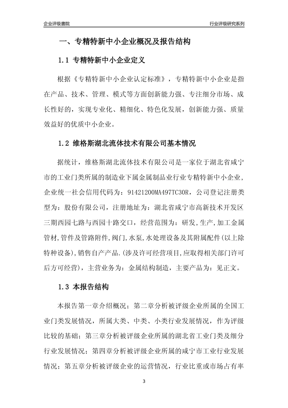 [专精特新]维格斯湖北流体技术有限公司行业竞争力评级分析报告(2023版)_第3页