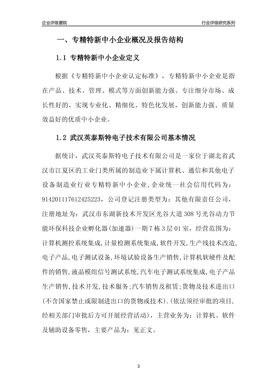[专精特新]武汉英泰斯特电子技术有限公司行业竞争力评级分析报告(2023版)_第3页