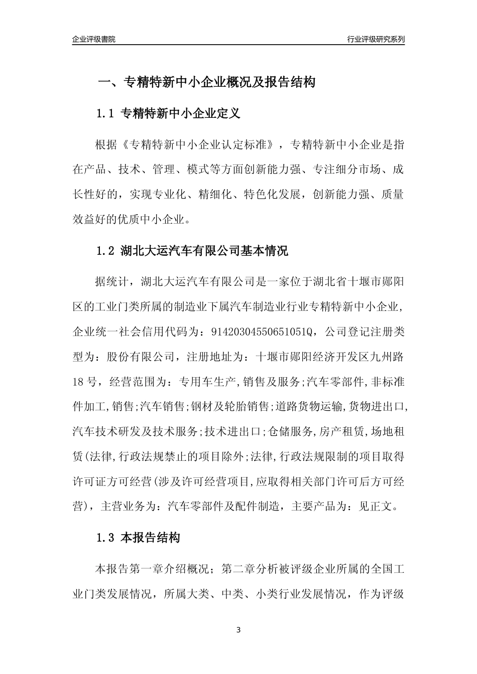 [专精特新]湖北大运汽车有限公司行业竞争力评级分析报告(2023版)_第3页