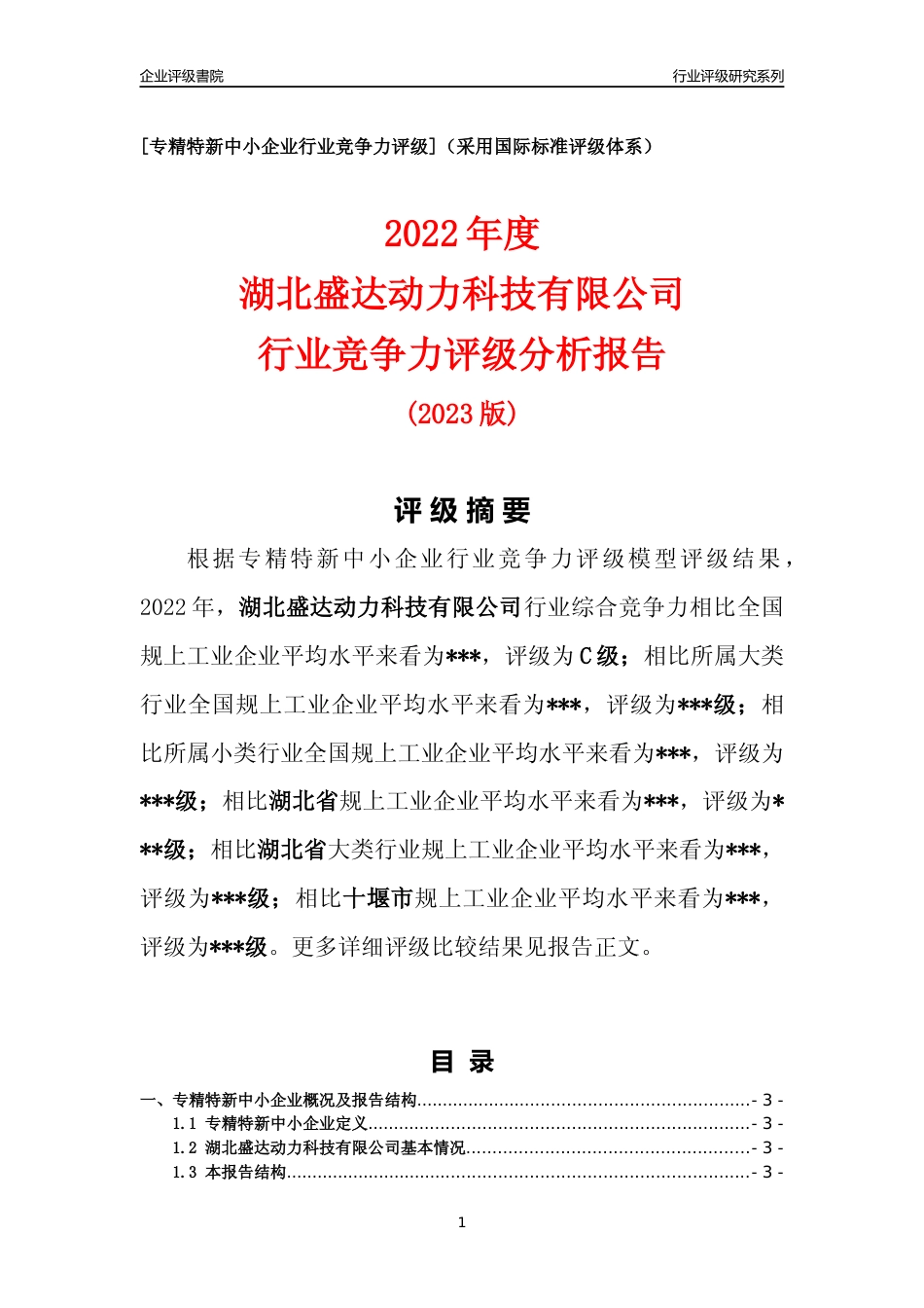 [专精特新]湖北盛达动力科技有限公司行业竞争力评级分析报告(2023版)_第1页