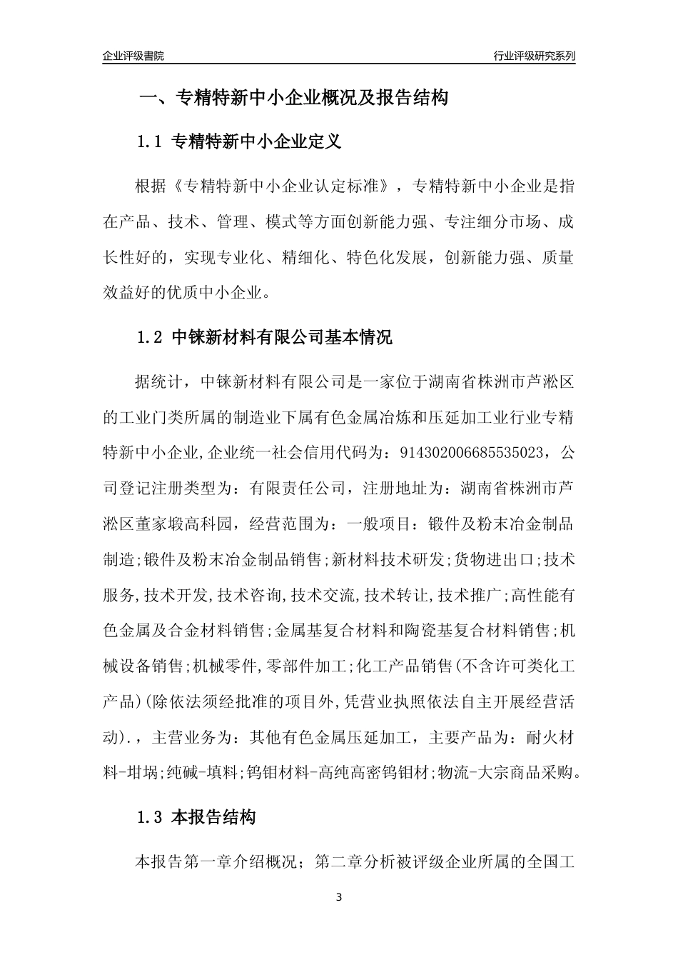 [专精特新]中铼新材料有限公司行业竞争力评级分析报告(2023版)_第3页