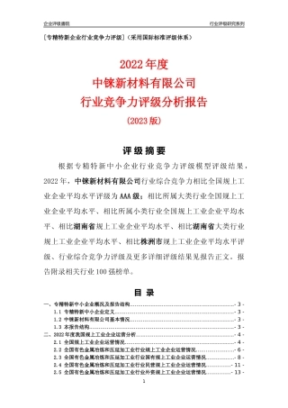 [专精特新]中铼新材料有限公司行业竞争力评级分析报告(2023版)
