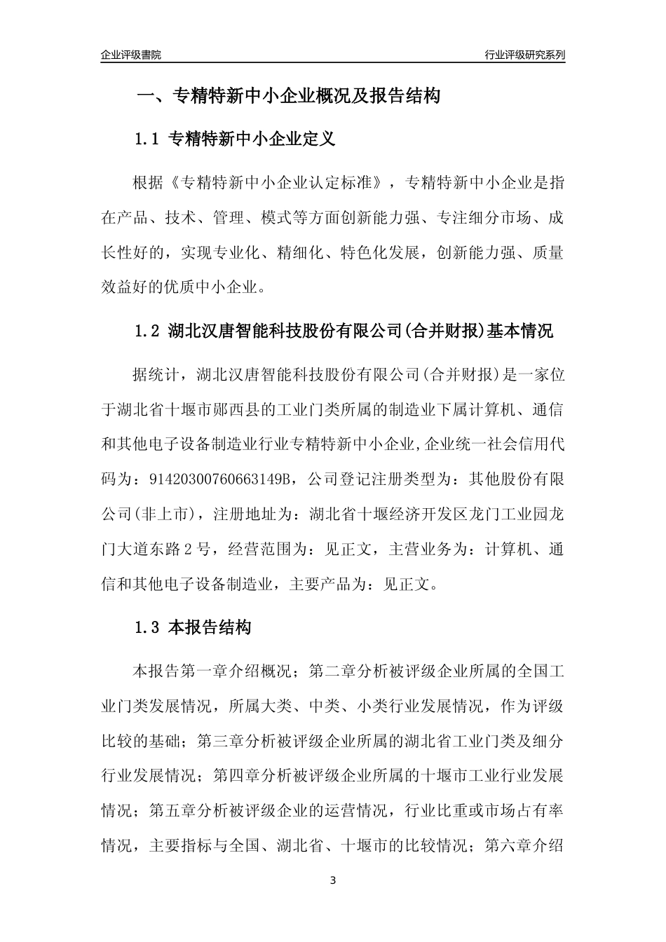 [专精特新]湖北汉唐智能科技股份有限公司(合并财报)行业竞争力评级分析报告(2023版)_第3页