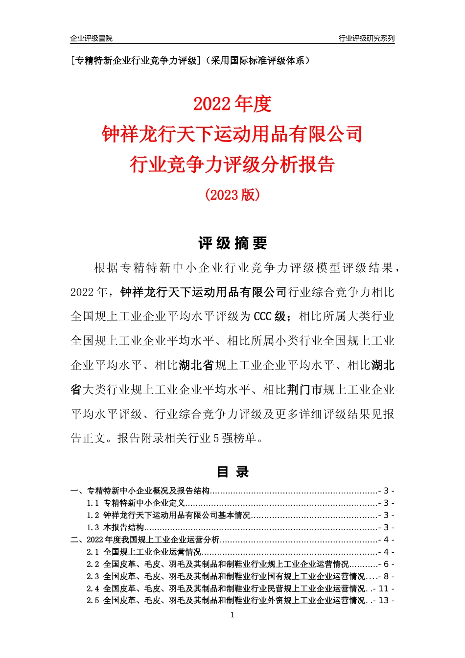 [专精特新]钟祥龙行天下运动用品有限公司行业竞争力评级分析报告(2023版)_第1页