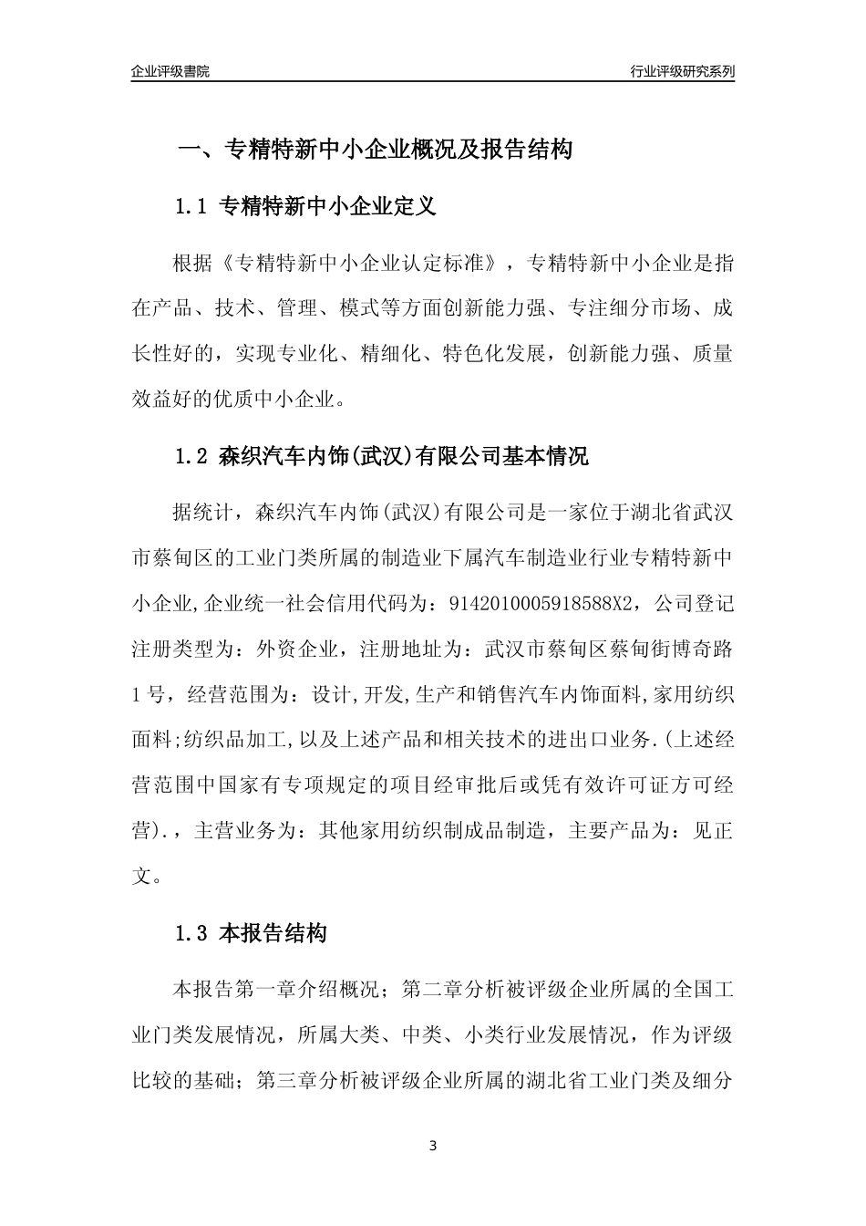 [专精特新]森织汽车内饰(武汉)有限公司行业竞争力评级分析报告(2023版)_第3页