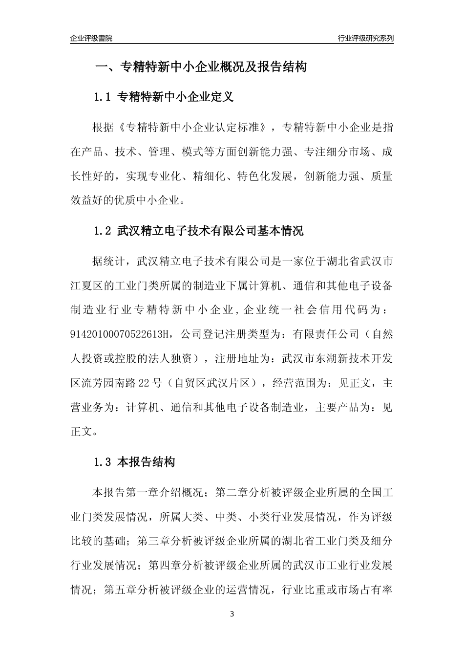 [专精特新]武汉精立电子技术有限公司行业竞争力评级分析报告(2023版)_第3页