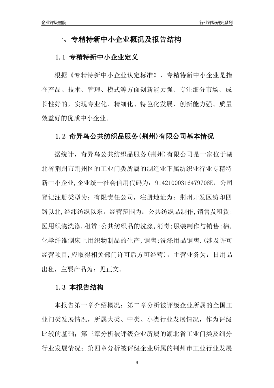 [专精特新]奇异鸟公共纺织品服务(荆州)有限公司行业竞争力评级分析报告(2023版)_第3页