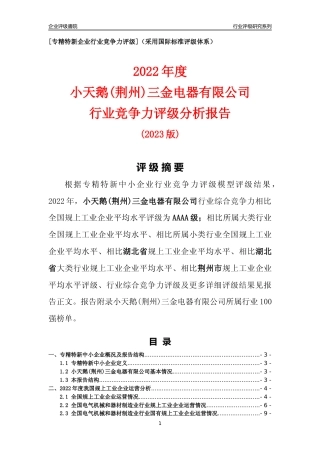 [专精特新]小天鹅(荆州)三金电器有限公司行业竞争力评级分析报告(2023版)