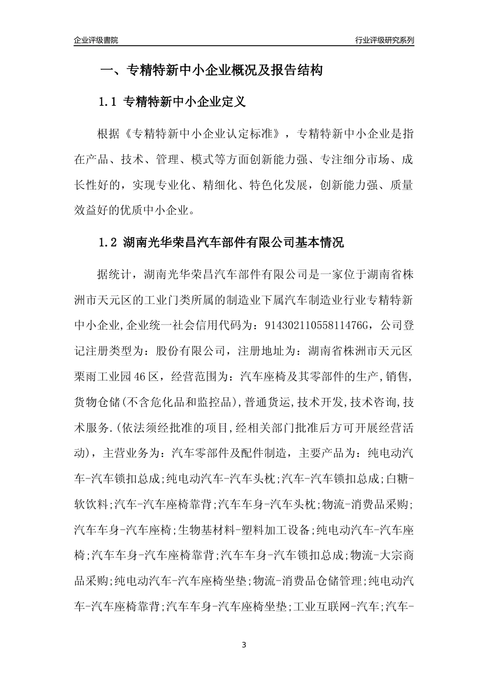 [专精特新]湖南光华荣昌汽车部件有限公司行业竞争力评级分析报告(2023版)_第3页