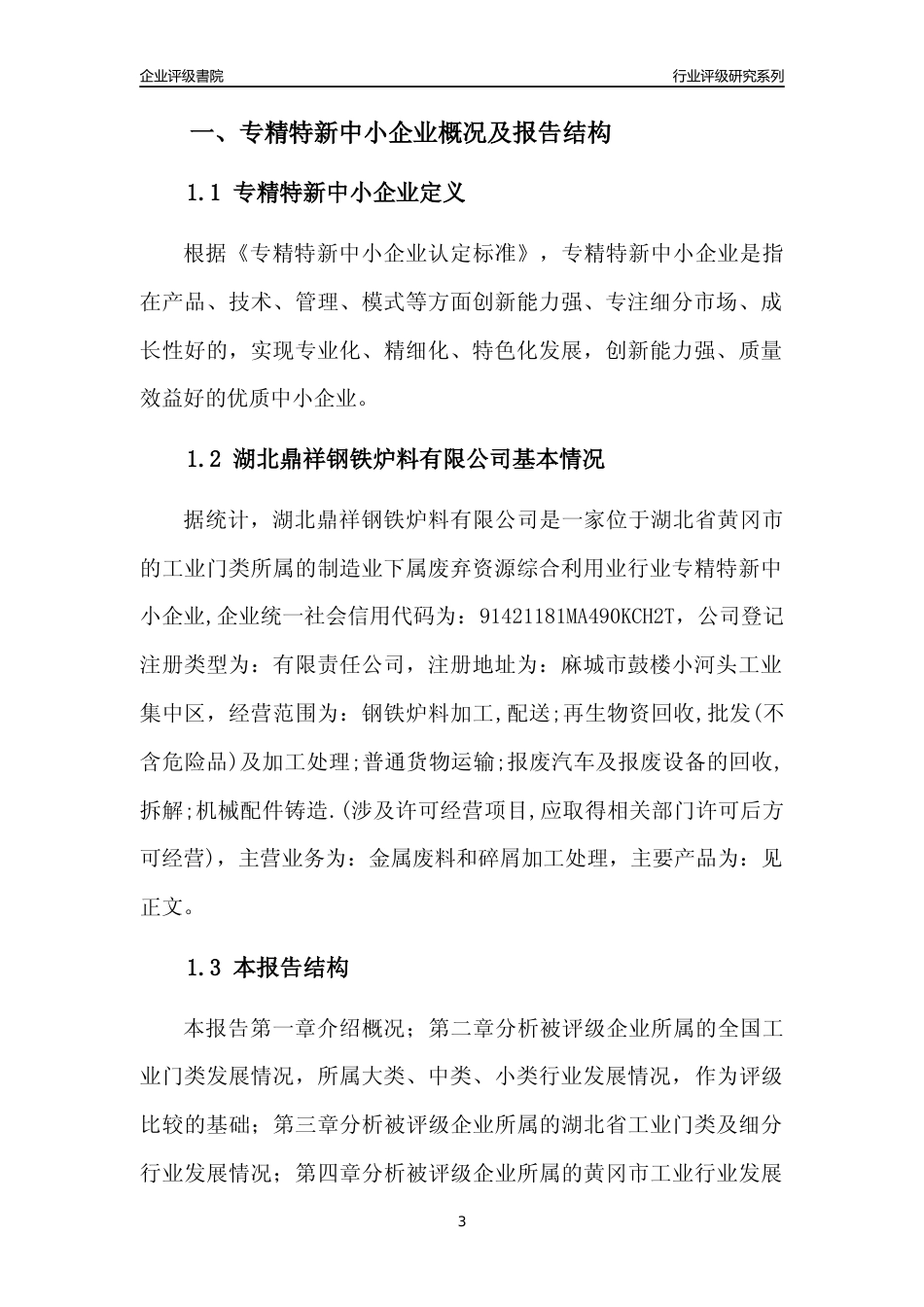 [专精特新]湖北鼎祥钢铁炉料有限公司行业竞争力评级分析报告(2023版)_第3页