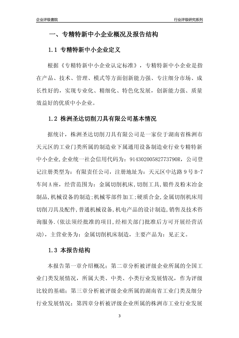 [专精特新]株洲圣达切削刀具有限公司行业竞争力评级分析报告(2023版)_第3页