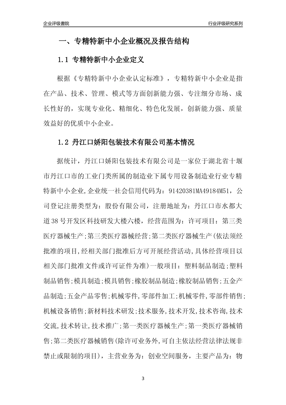 [专精特新]丹江口娇阳包装技术有限公司行业竞争力评级分析报告(2023版)_第3页