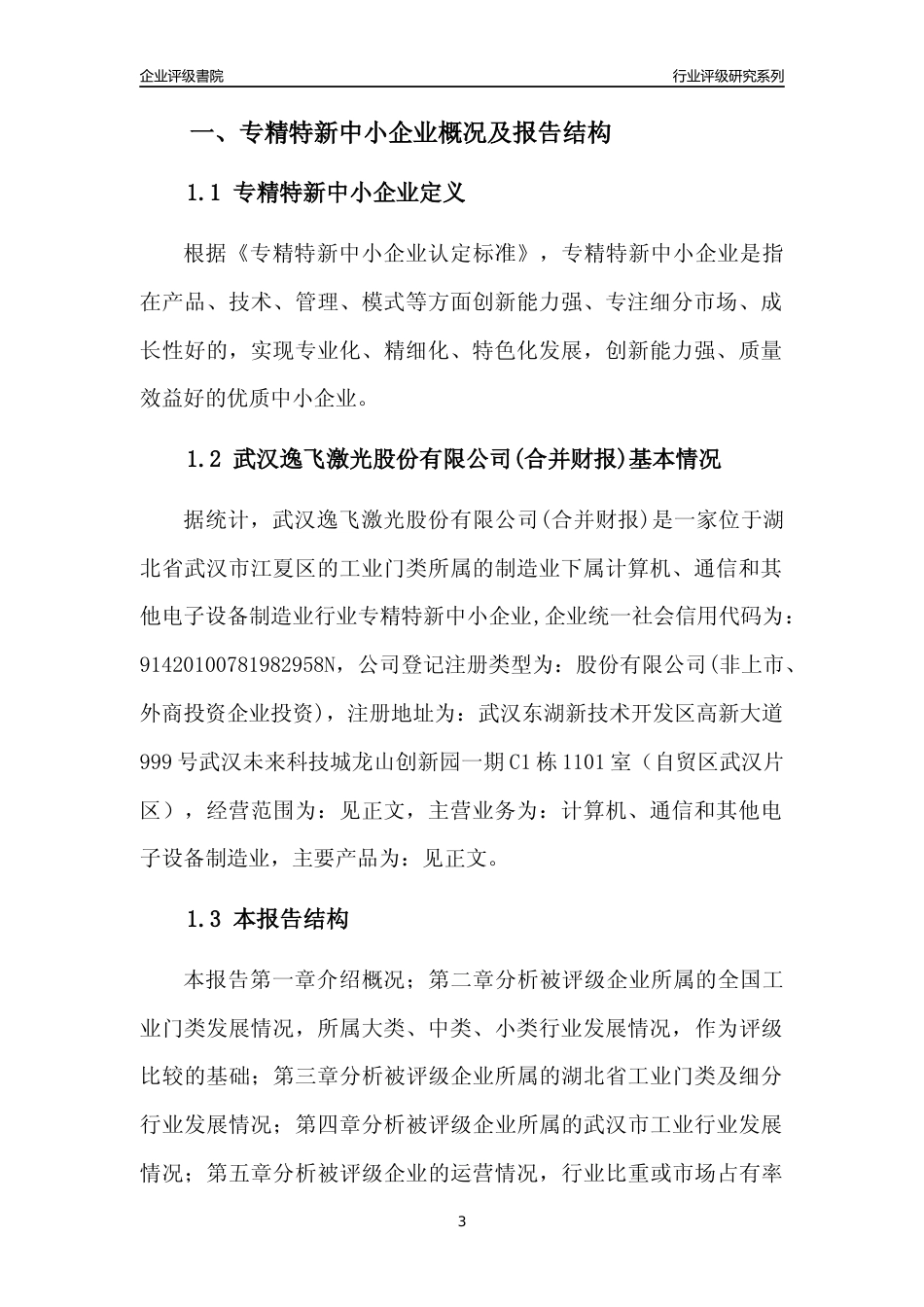 [专精特新]武汉逸飞激光股份有限公司(合并财报)行业竞争力评级分析报告(2023版)_第3页