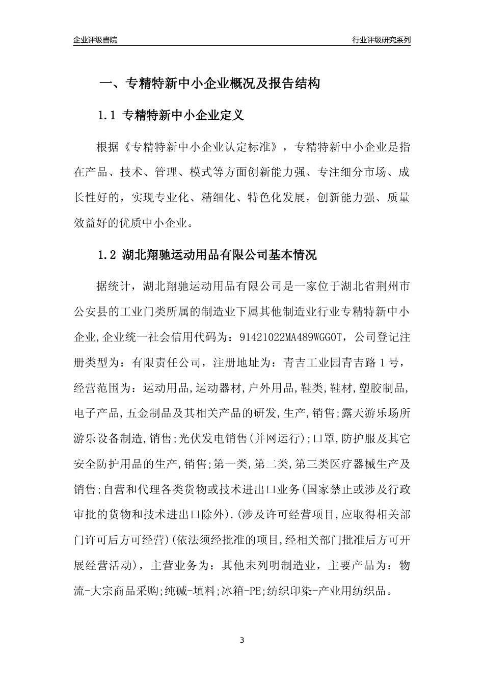 [专精特新]湖北翔驰运动用品有限公司行业竞争力评级分析报告(2023版)_第3页