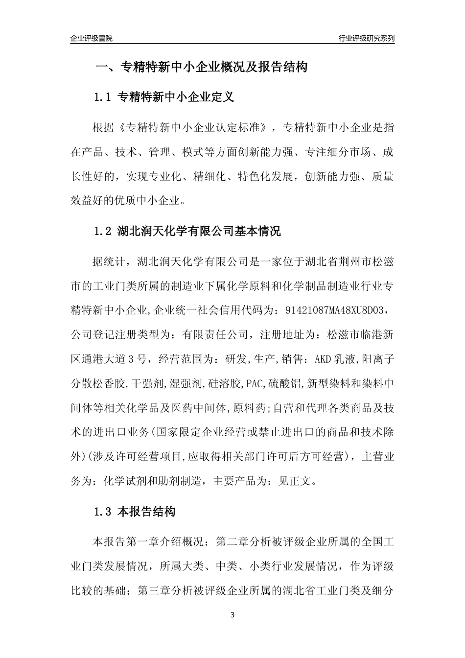 [专精特新]湖北润天化学有限公司行业竞争力评级分析报告(2023版)_第3页