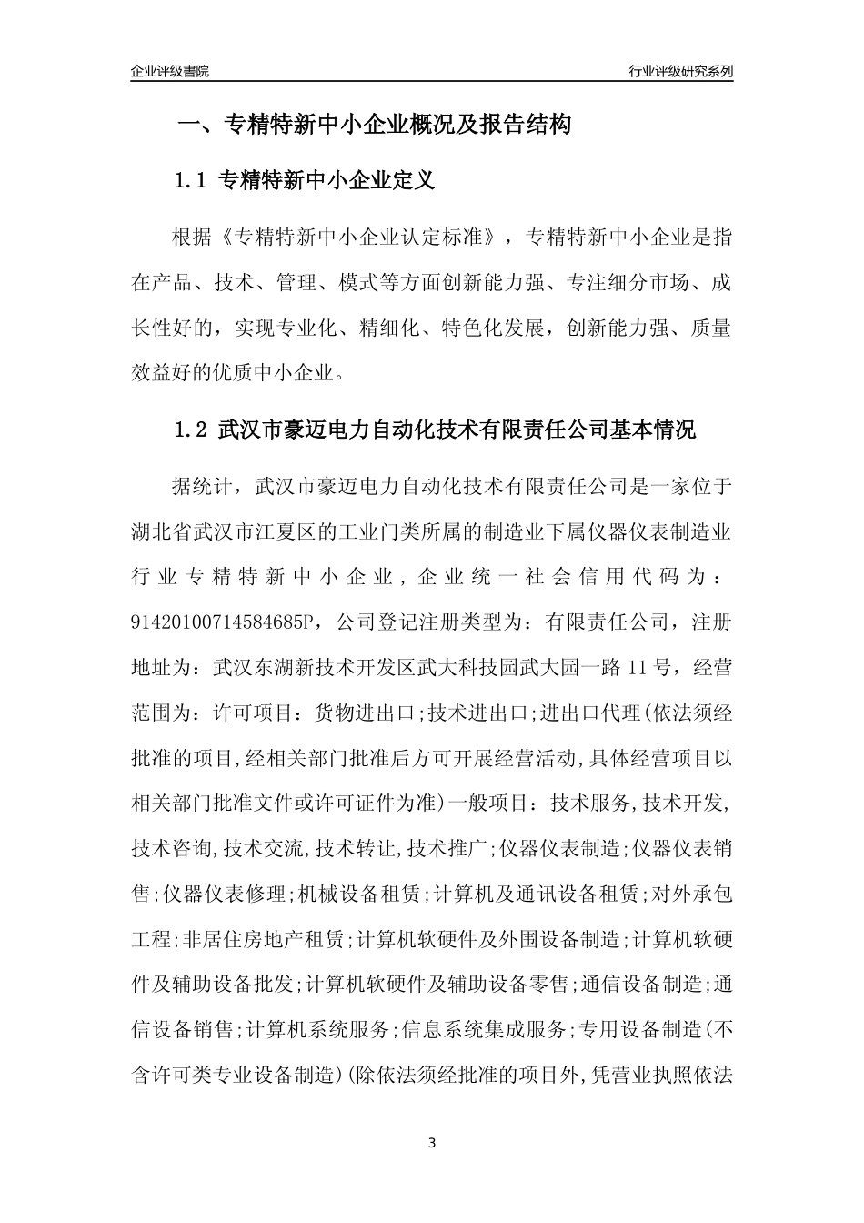 [专精特新]武汉市豪迈电力自动化技术有限责任公司行业竞争力评级分析报告(2023版)_第3页