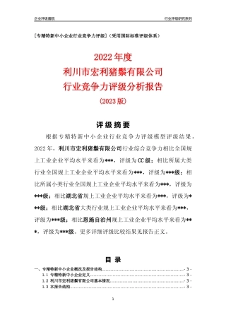 [专精特新]利川市宏利猪鬃有限公司行业竞争力评级分析报告(2023版)
