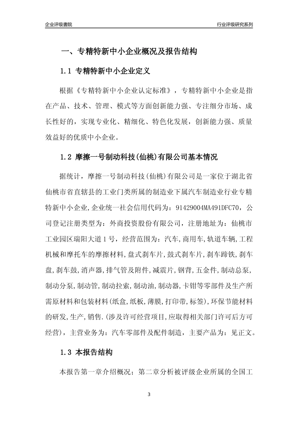 [专精特新]摩擦一号制动科技(仙桃)有限公司行业竞争力评级分析报告(2023版)_第3页