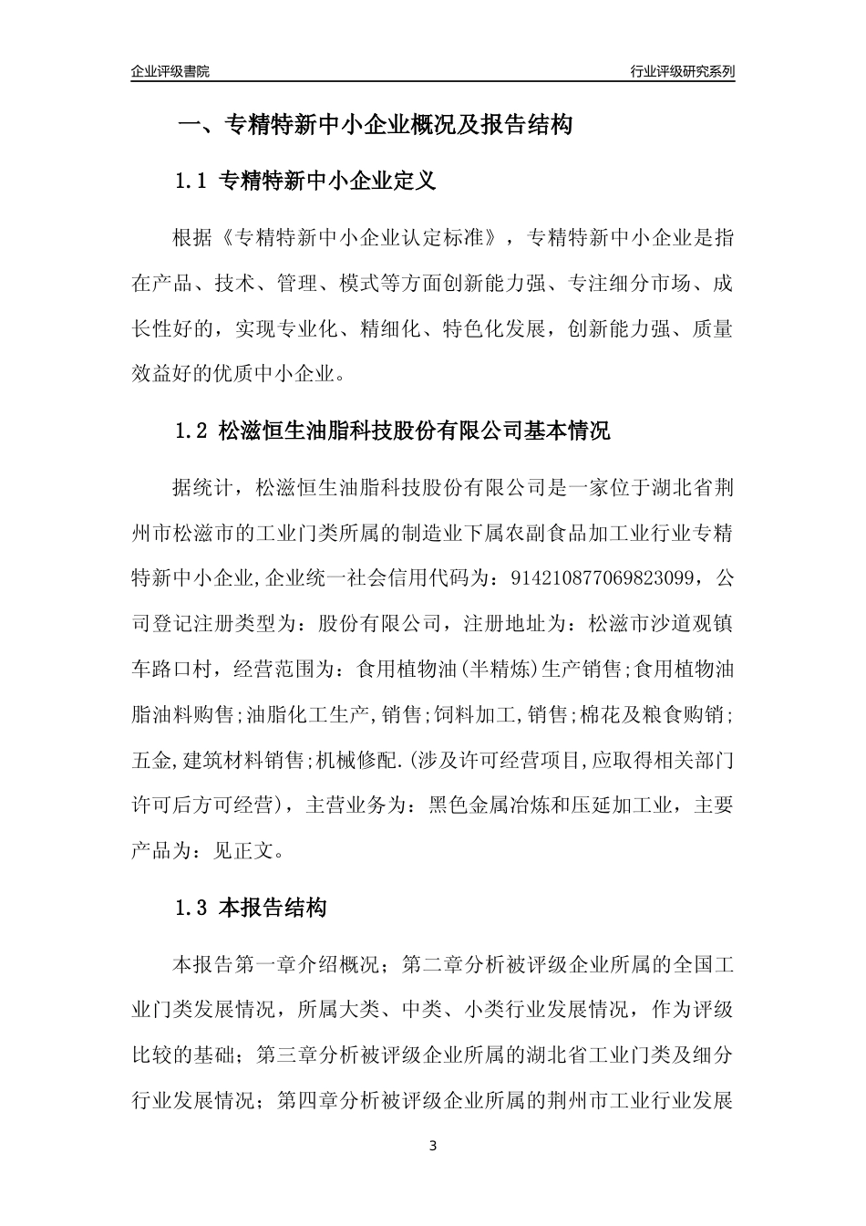 [专精特新]松滋恒生油脂科技股份有限公司行业竞争力评级分析报告(2023版)_第3页