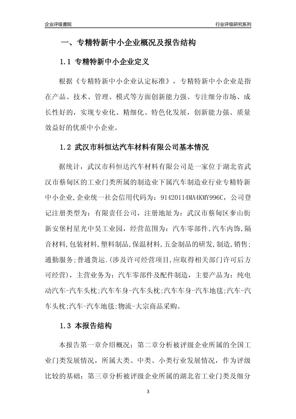 [专精特新]武汉市科恒达汽车材料有限公司行业竞争力评级分析报告(2023版)_第3页