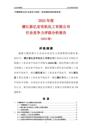 [专精特新]潜江新亿宏有机化工有限公司行业竞争力评级分析报告(2023版)