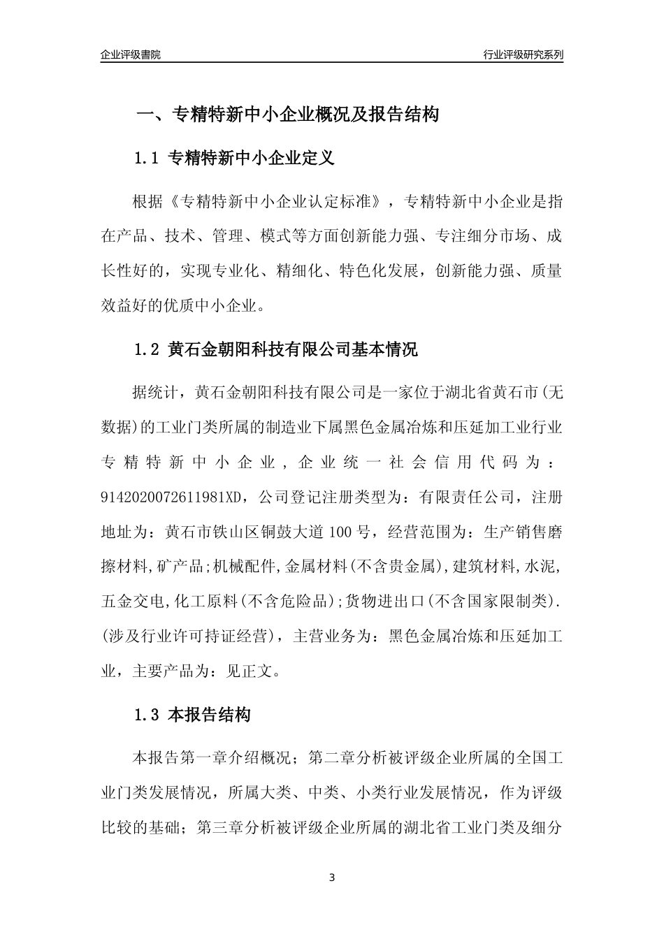[专精特新]黄石金朝阳科技有限公司行业竞争力评级分析报告(2023版)_第3页