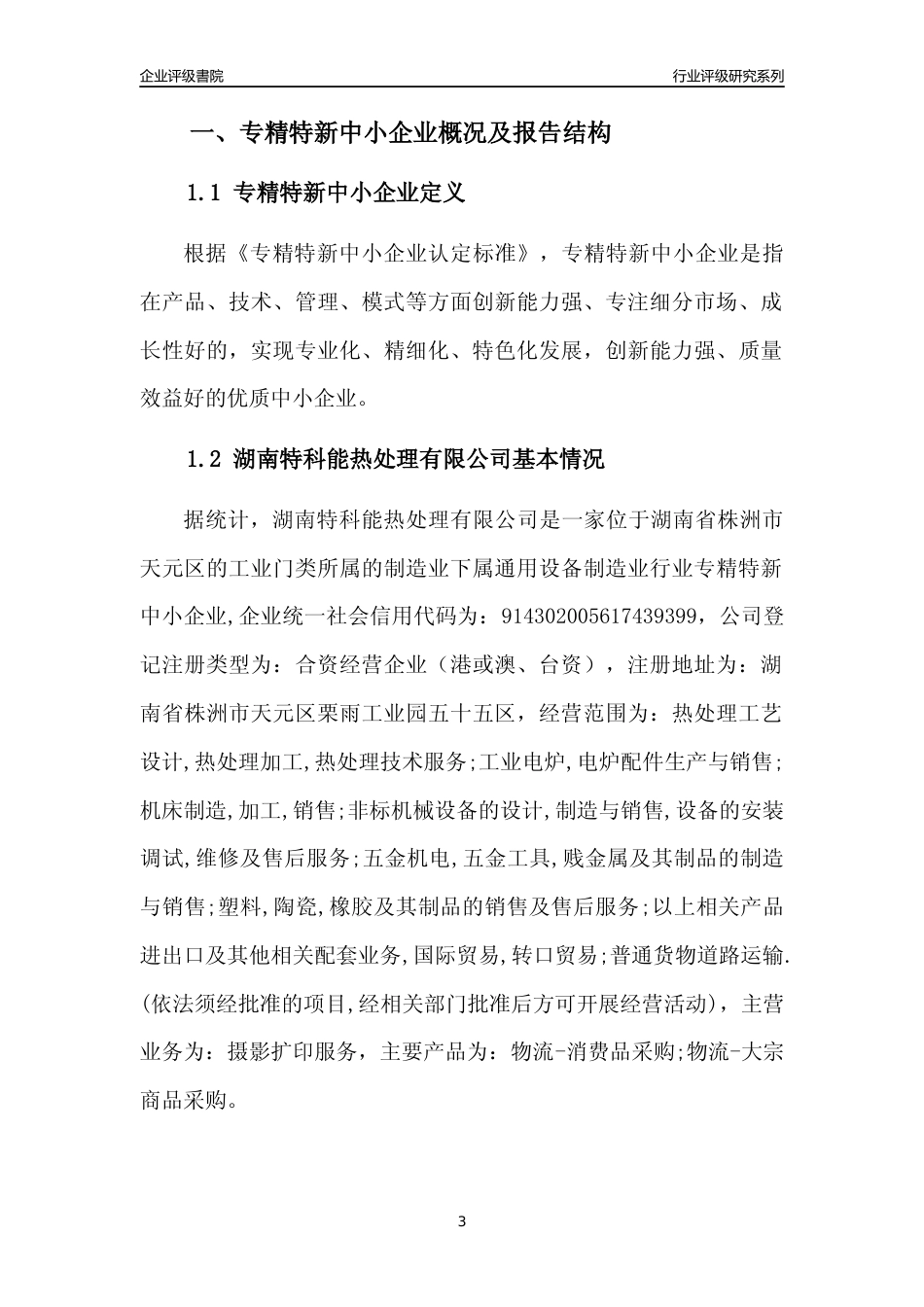 [专精特新]湖南特科能热处理有限公司行业竞争力评级分析报告(2023版)_第3页