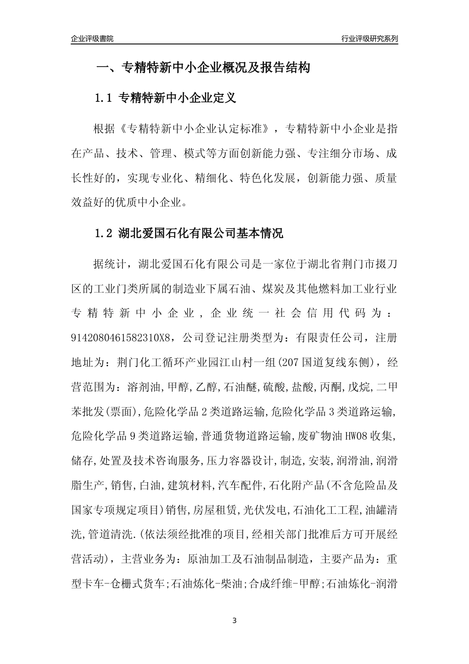 [专精特新]湖北爱国石化有限公司行业竞争力评级分析报告(2023版)_第3页
