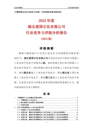 [专精特新]湖北爱国石化有限公司行业竞争力评级分析报告(2023版)
