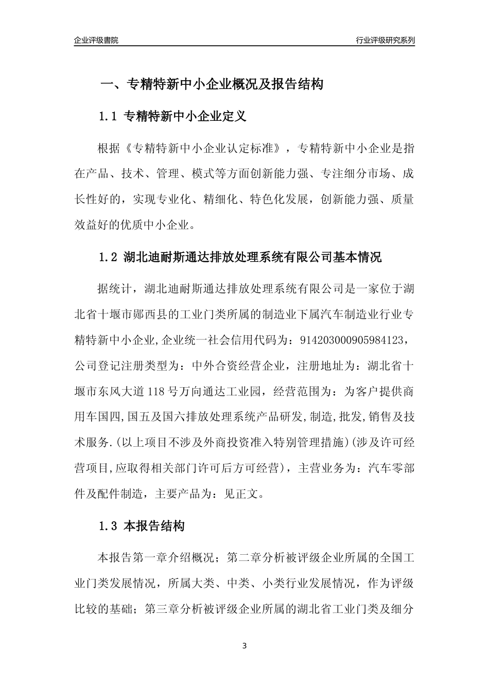 [专精特新]湖北迪耐斯通达排放处理系统有限公司行业竞争力评级分析报告(2023版)_第3页