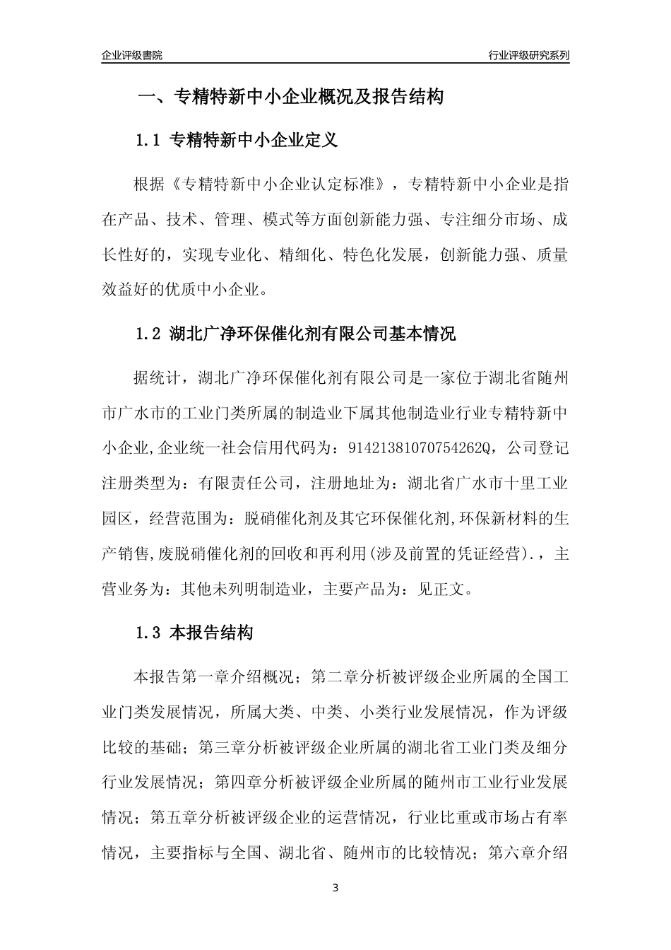 [专精特新]湖北广净环保催化剂有限公司行业竞争力评级分析报告(2023版)_第3页