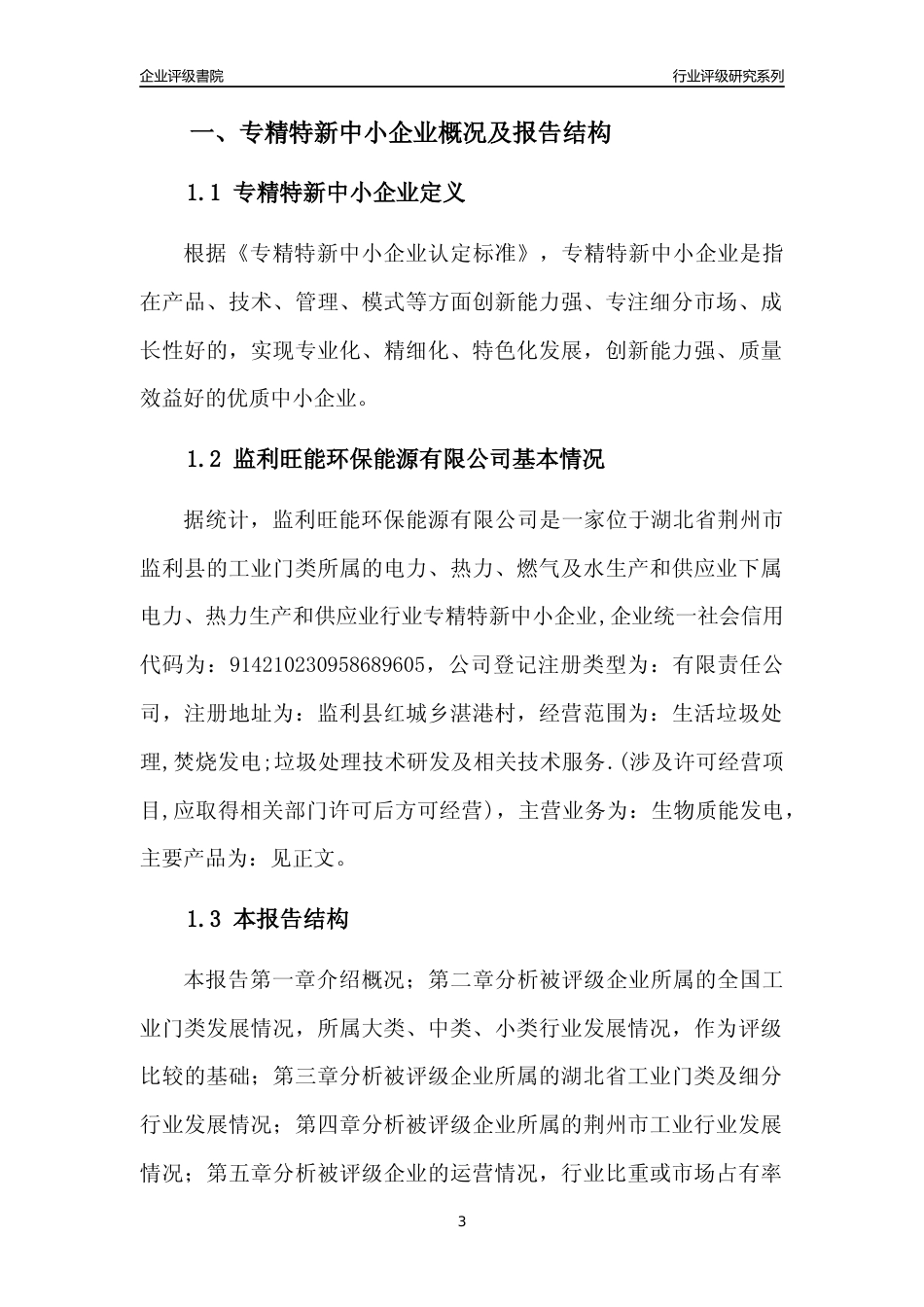 [专精特新]监利旺能环保能源有限公司行业竞争力评级分析报告(2023版)_第3页