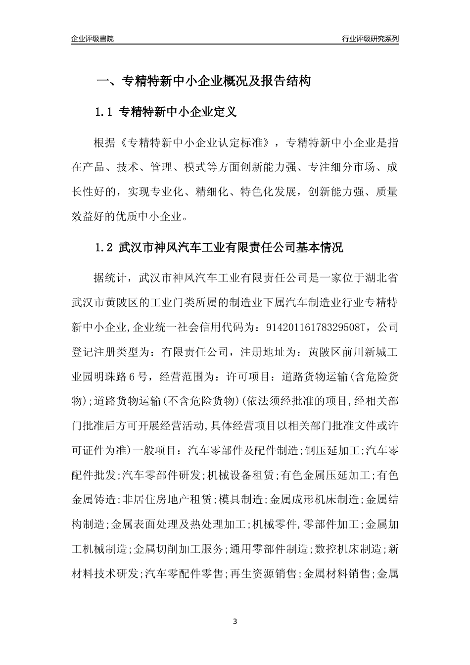 [专精特新]武汉市神风汽车工业有限责任公司行业竞争力评级分析报告(2023版)_第3页