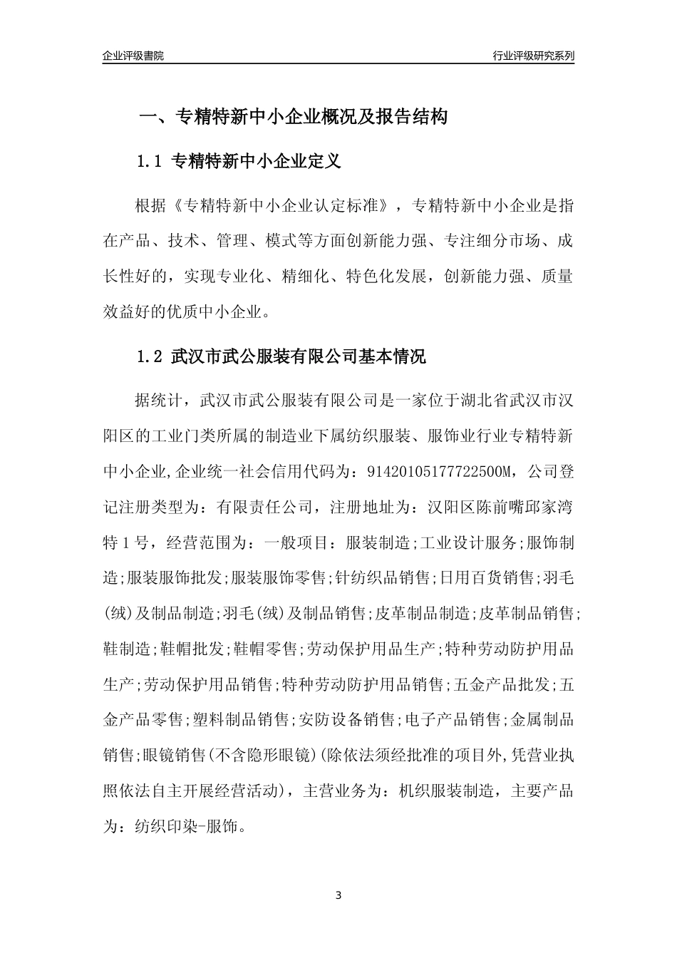 [专精特新]武汉市武公服装有限公司行业竞争力评级分析报告(2023版)_第3页