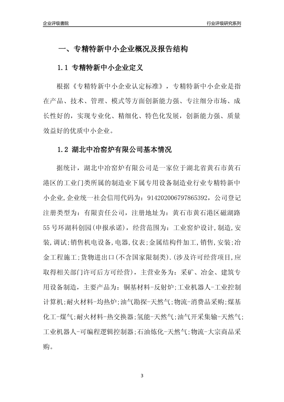 [专精特新]湖北中冶窑炉有限公司行业竞争力评级分析报告(2023版)_第3页