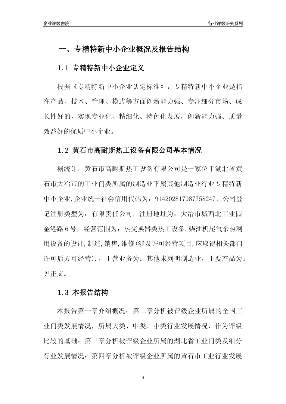[专精特新]黄石市高耐斯热工设备有限公司行业竞争力评级分析报告(2023版)_第3页