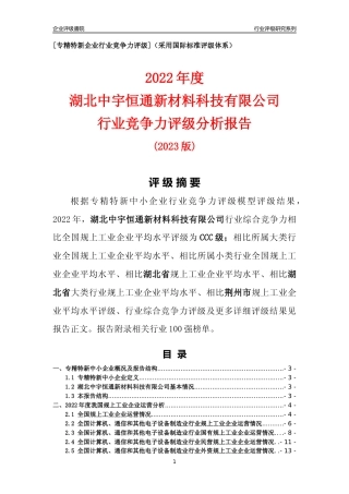 [专精特新]湖北中宇恒通新材料科技有限公司行业竞争力评级分析报告(2023版)