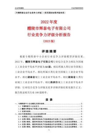 [专精特新]醴陵市辉泰电子有限公司行业竞争力评级分析报告(2023版)