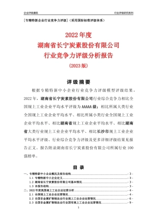 [专精特新]湖南省长宁炭素股份有限公司行业竞争力评级分析报告(2023版)