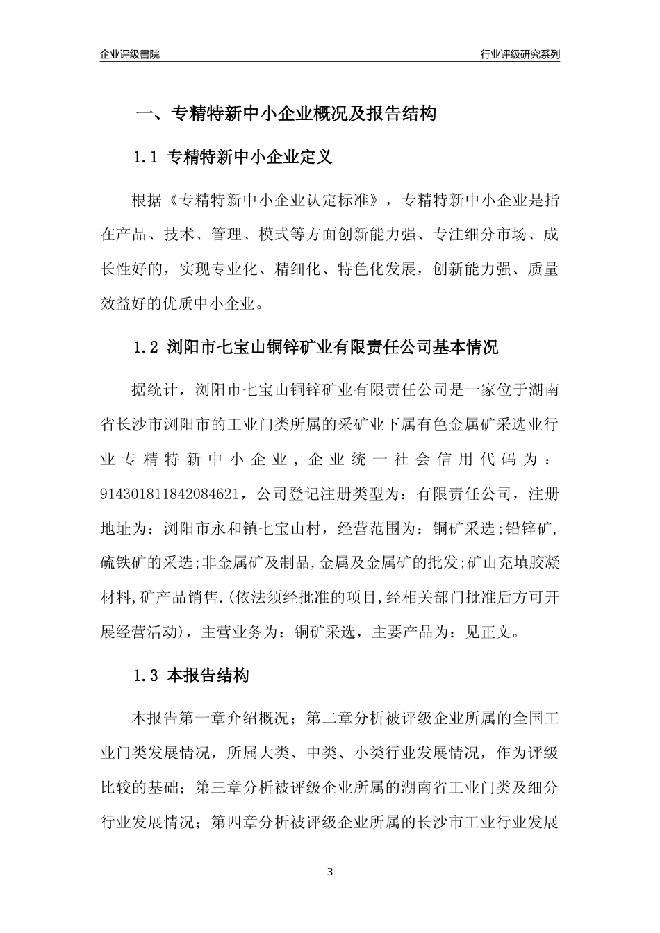 [专精特新]浏阳市七宝山铜锌矿业有限责任公司行业竞争力评级分析报告(2023版)_第3页