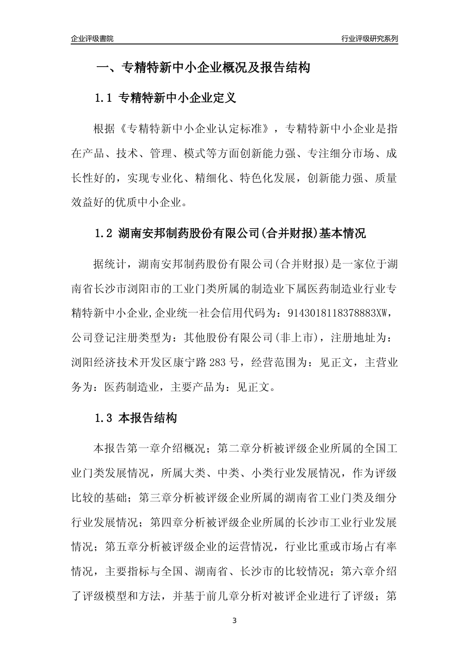 [专精特新]湖南安邦制药股份有限公司(合并财报)行业竞争力评级分析报告(2023版)_第3页