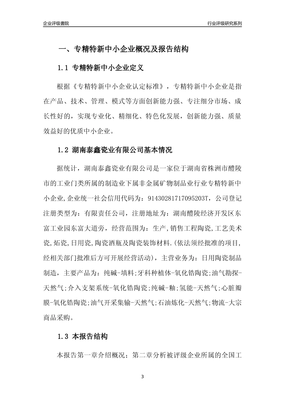 [专精特新]湖南泰鑫瓷业有限公司行业竞争力评级分析报告(2023版)_第3页