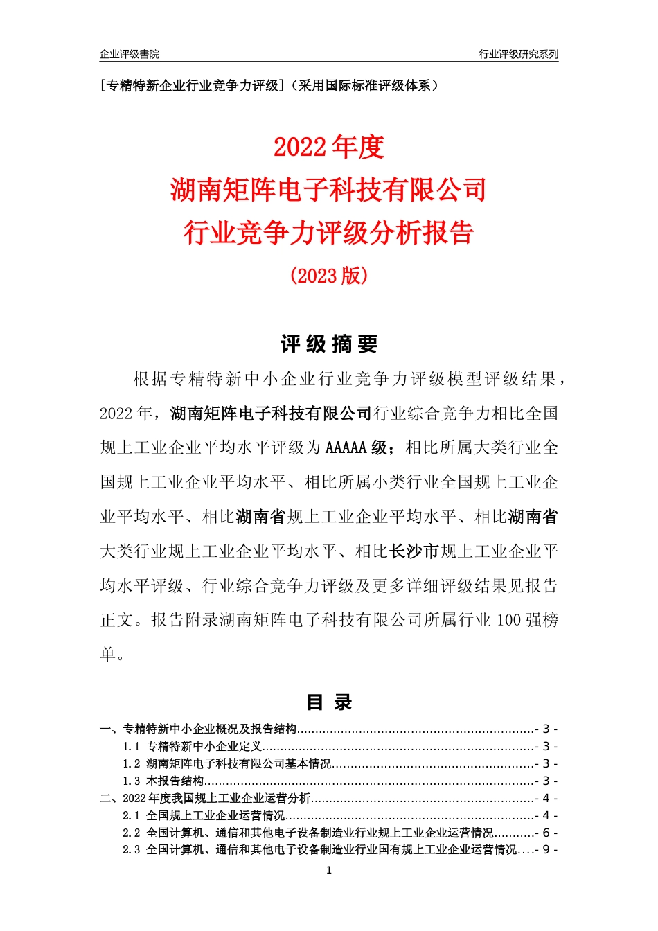 [专精特新]湖南矩阵电子科技有限公司行业竞争力评级分析报告(2023版)_第1页