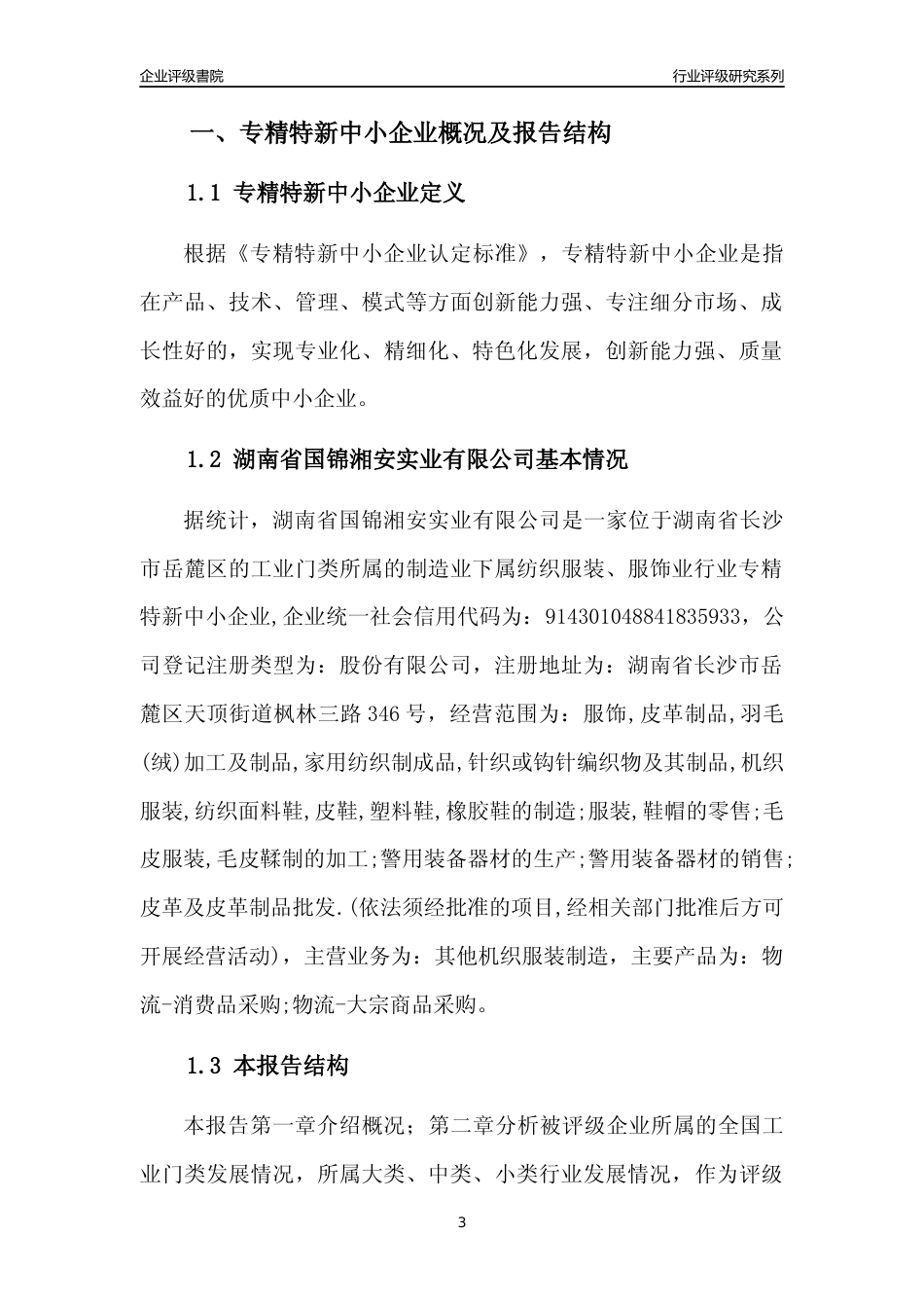 [专精特新]湖南省国锦湘安实业有限公司行业竞争力评级分析报告(2023版)_第3页