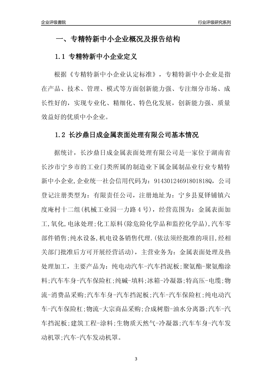 [专精特新]长沙鼎日成金属表面处理有限公司行业竞争力评级分析报告(2023版)_第3页