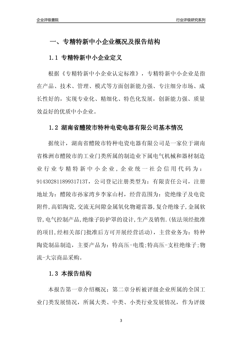 [专精特新]湖南省醴陵市特种电瓷电器有限公司行业竞争力评级分析报告(2023版)_第3页
