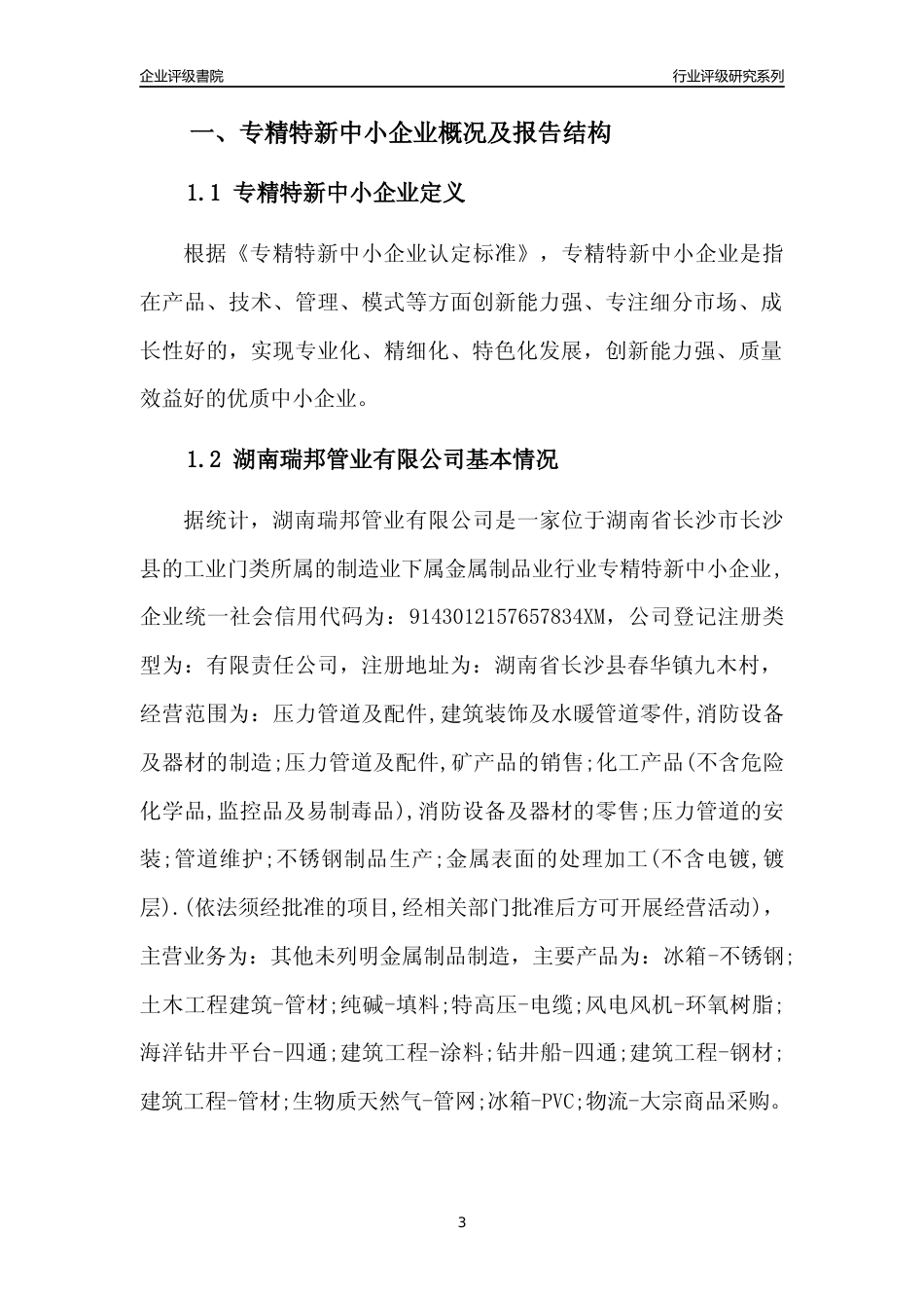 [专精特新]湖南瑞邦管业有限公司行业竞争力评级分析报告(2023版)_第3页