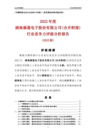 [专精特新]湖南康通电子股份有限公司(合并财报)行业竞争力评级分析报告(2023版)