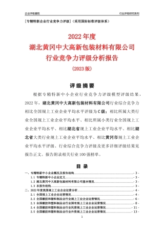 [专精特新]湖北黄冈中大高新包装材料有限公司行业竞争力评级分析报告(2023版)