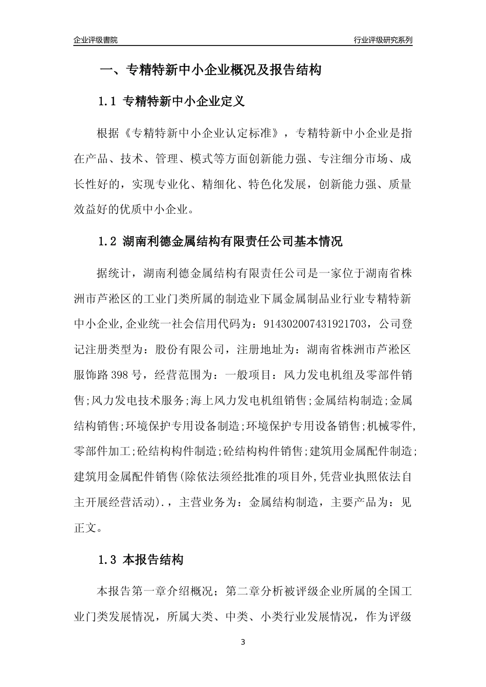 [专精特新]湖南利德金属结构有限责任公司行业竞争力评级分析报告(2023版)_第3页